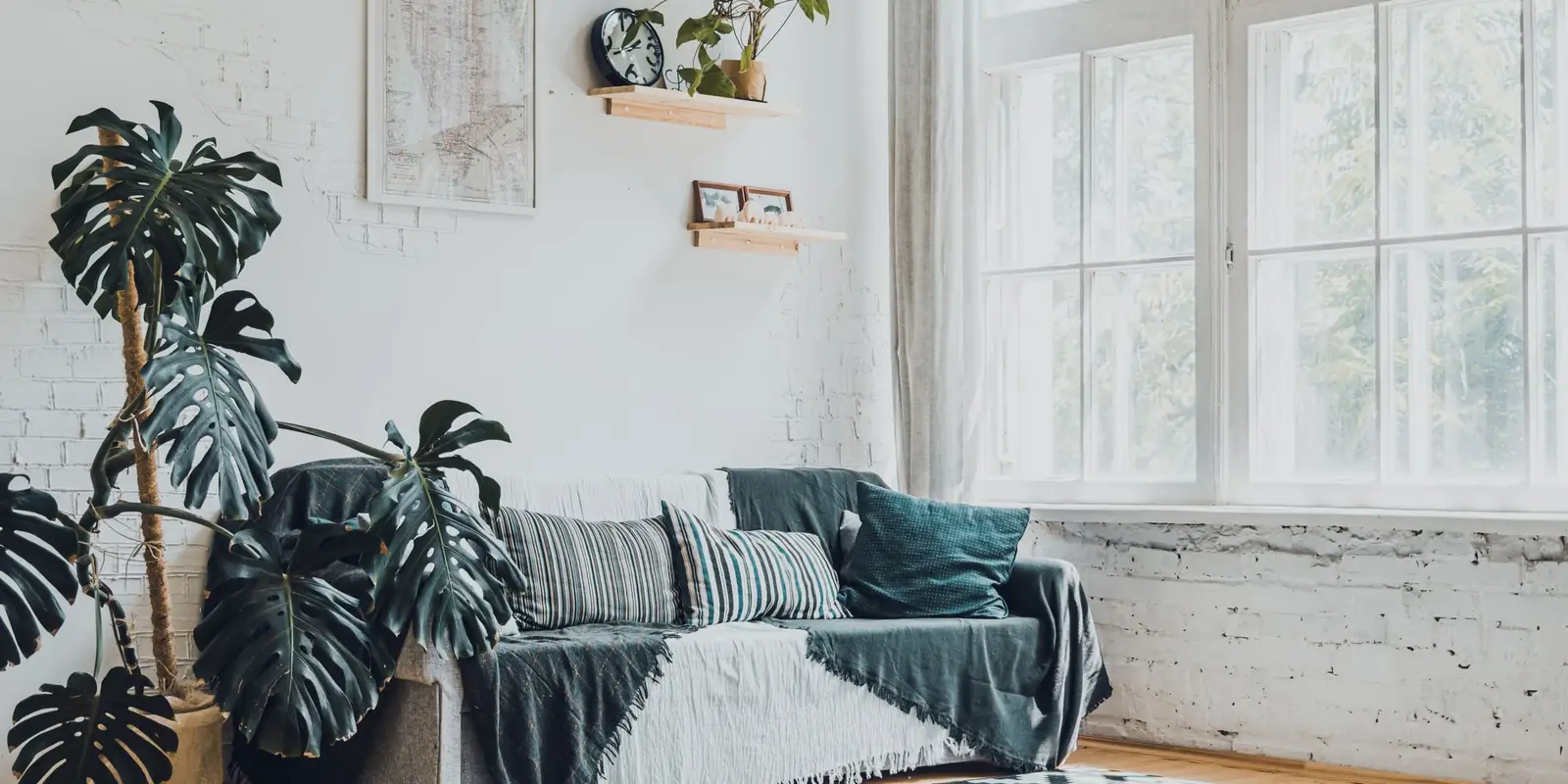 Bright living room with a grey sofa, monstera plants and large windows