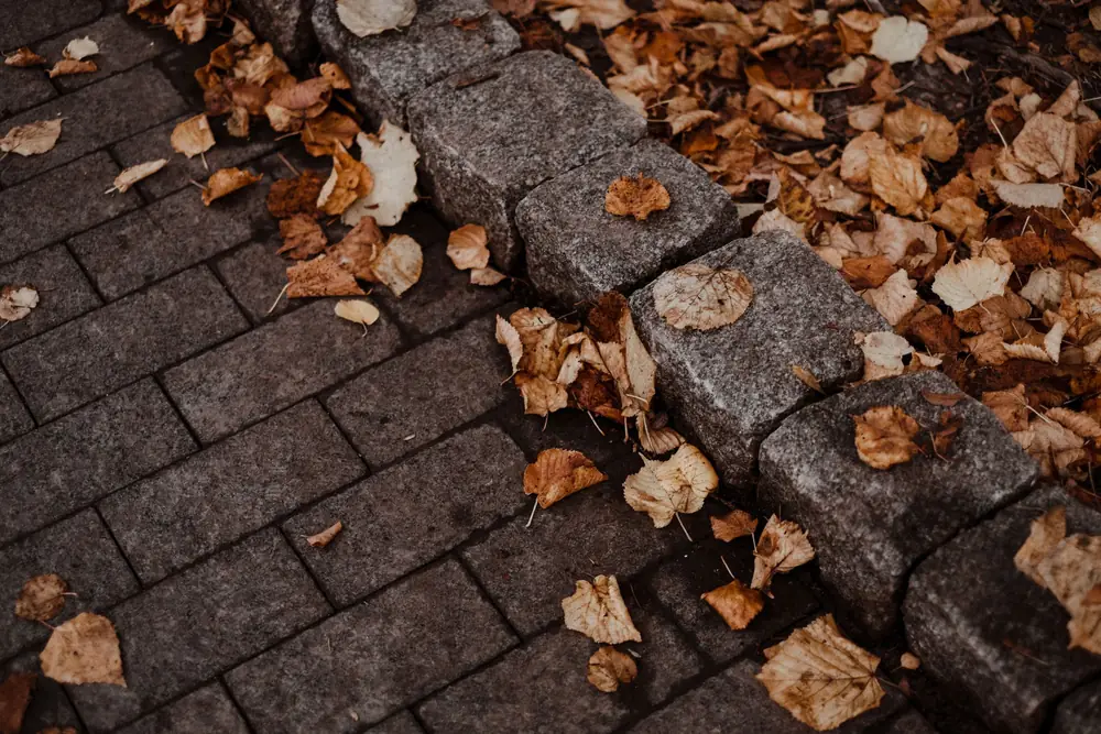 Autumn leaves scattered over grey block paving
